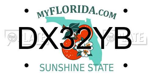 DX32YB Florida License Plate