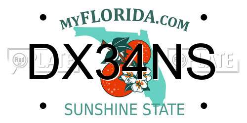 DX34NS Florida License Plate