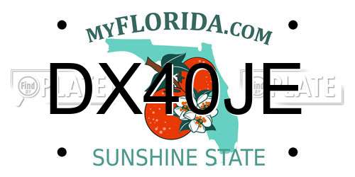 DX40JE Florida License Plate