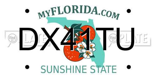 DX41TU Florida License Plate