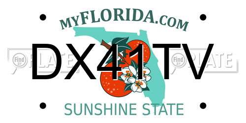 DX41TV Florida License Plate