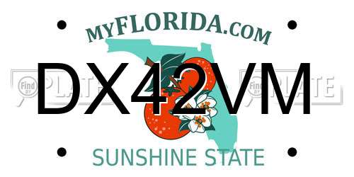 DX42VM Florida License Plate