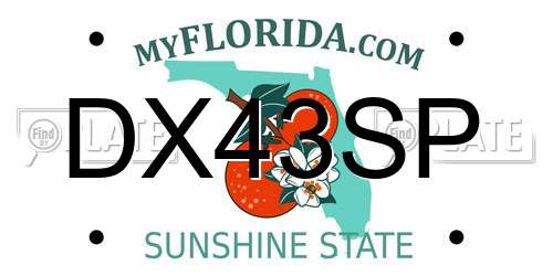 DX43SP Florida License Plate