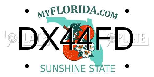 DX44FD Florida License Plate