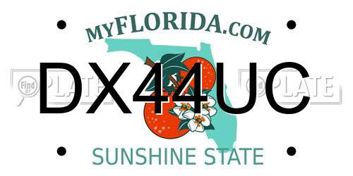 DX44UC Florida License Plate