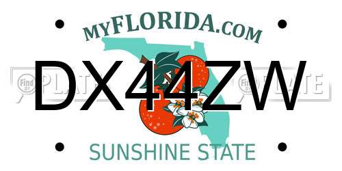 DX44ZW Florida License Plate