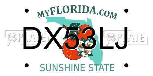 DX53LJ Florida License Plate