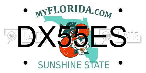 DX55ES Florida License Plate