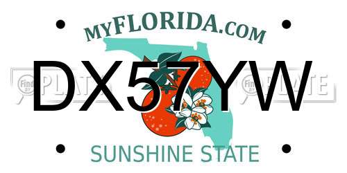 DX57YW Florida License Plate