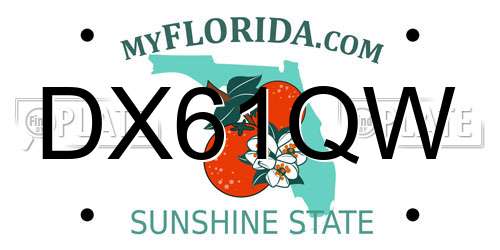 DX61QW Florida License Plate
