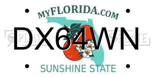 DX64WN Florida License Plate