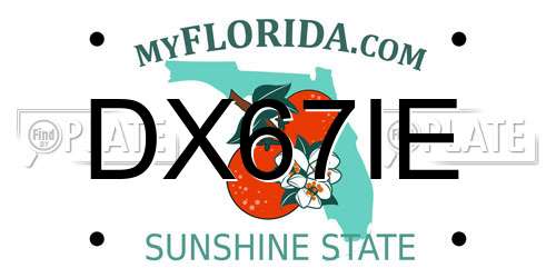 DX67IE Florida License Plate