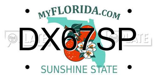 DX67SP Florida License Plate