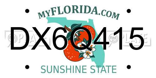 DX6Q415 Florida License Plate