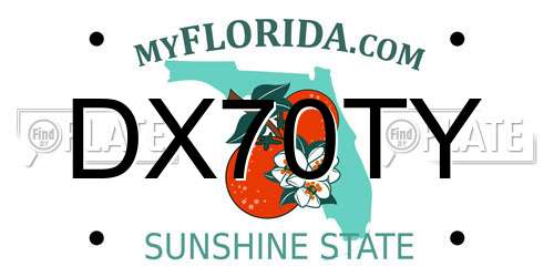 DX70TY Florida License Plate