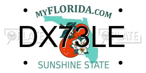 DX73LE Florida License Plate