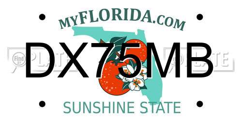 DX75MB Florida License Plate