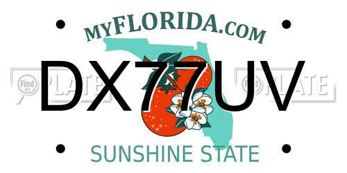 DX77UV Florida License Plate