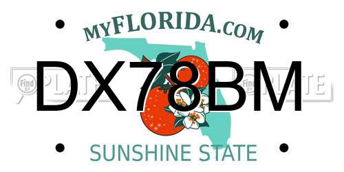 DX78BM Florida License Plate