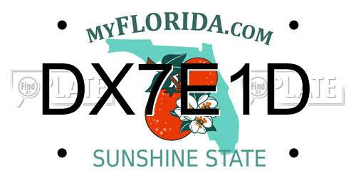DX7E1D Florida License Plate