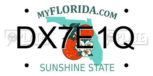DX7E1Q Florida License Plate