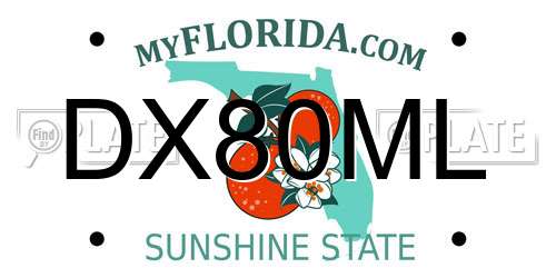 DX80ML Florida License Plate