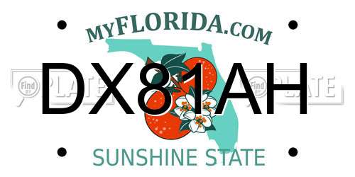 DX81AH Florida License Plate