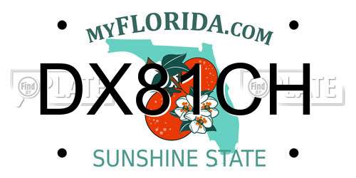 DX81CH Florida License Plate