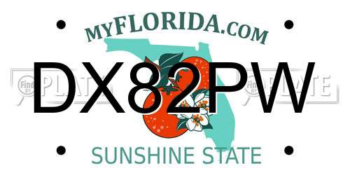 DX82PW Florida License Plate