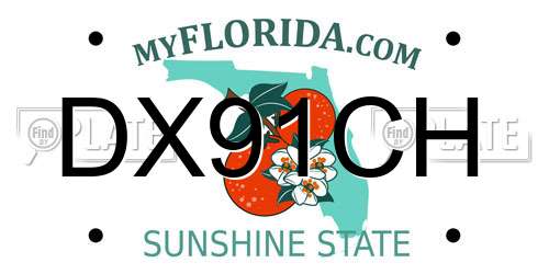 DX91CH Florida License Plate