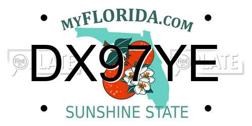 DX97YE Florida License Plate