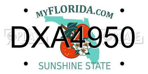 DXA4950 Florida License Plate