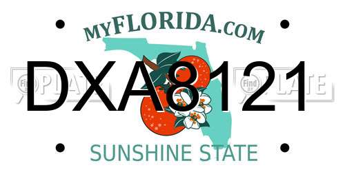 DXA8121 Florida License Plate