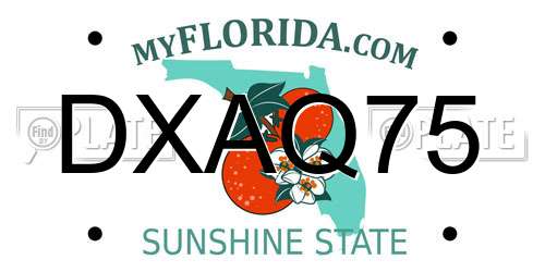 DXAQ75 Florida License Plate