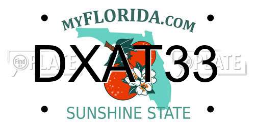 DXAT33 Florida License Plate