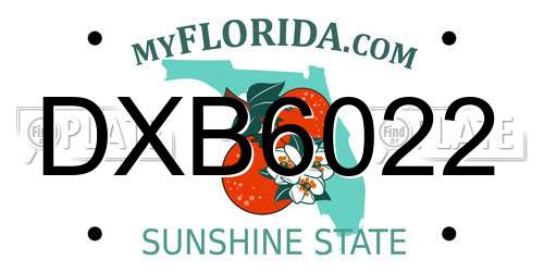 DXB6022 Florida License Plate