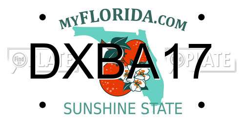 DXBA17 Florida License Plate