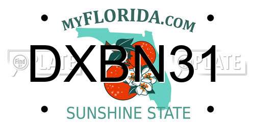 DXBN31 Florida License Plate