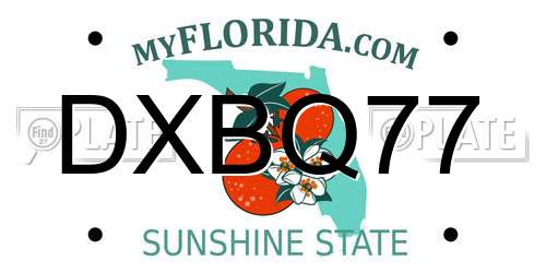 DXBQ77 Florida License Plate