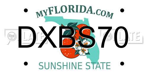 DXBS70 Florida License Plate