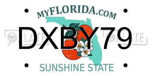 DXBY79 Florida License Plate