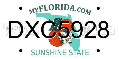 DXC5928 Florida License Plate