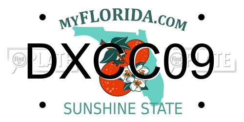 DXCC09 Florida License Plate