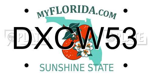 DXCW53 Florida License Plate