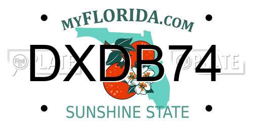 DXDB74 Florida License Plate