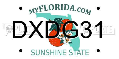 DXDG31 Florida License Plate
