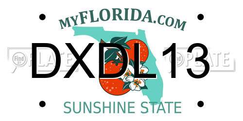 DXDL13 Florida License Plate