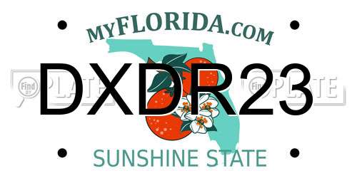 DXDR23 Florida License Plate