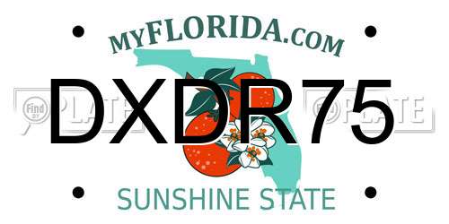DXDR75 Florida License Plate