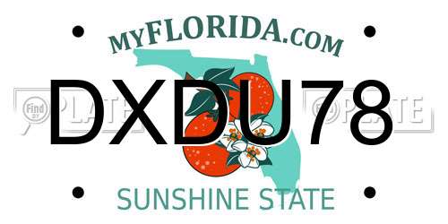 DXDU78 Florida License Plate